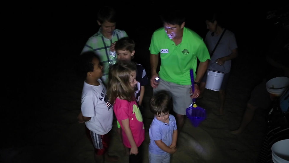 Experience Ghost Crab Quest